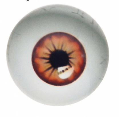 Oči nalepovací kulaté 20 mm - hnědé