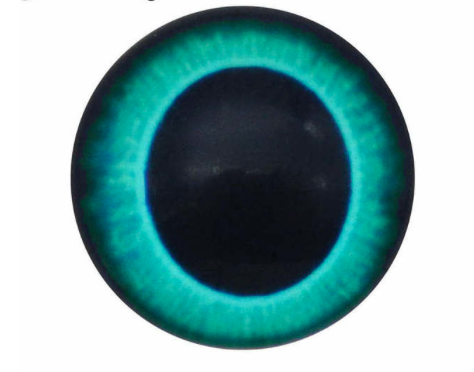 Oči nalepovací kulaté 20 mm - černotyrkysové